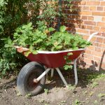 AWG Alte Schule in Reitbrook AWG Alte Schule in Reitbrook